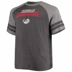 Men's Fanatics Branded Black/Heathered Gray Arizona Cardinals Big & Tall Throwback 2-Stripe Raglan T-Shirt -Metaverse shop unnamed file 10299