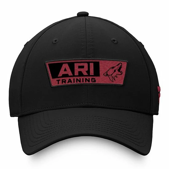 Men's Fanatics Branded Black Arizona Coyotes Authentic Pro Training Camp Practice Flex Hat Men's Fanatics Branded Black Arizona Coyotes Authentic Pro Training Camp Practice Flex Hat -Metaverse shop unnamed file 11530