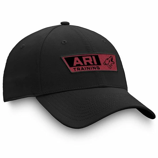 Men's Fanatics Branded Black Arizona Coyotes Authentic Pro Training Camp Practice Flex Hat Men's Fanatics Branded Black Arizona Coyotes Authentic Pro Training Camp Practice Flex Hat -Metaverse shop unnamed file 11531