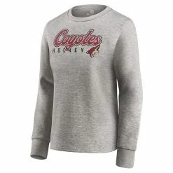 Women's Fanatics Branded Heathered Gray Arizona Coyotes Fan Favorite Script Pullover Sweatshirt 4 Women's Fanatics Branded Heathered Gray Arizona Coyotes Fan Favorite Script Pullover Sweatshirt -Metaverse shop unnamed file 12333