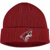 Men's Fanatics Branded Burgundy Arizona Coyotes Core Primary Logo Cuffed Knit Hat -Metaverse shop unnamed file 13653