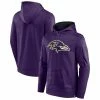 Men's Fanatics Branded Purple Baltimore Ravens On The Ball Pullover Hoodie -Metaverse shop unnamed file 19452