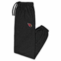 Men's Fanatics Branded Heathered Charcoal Arizona Cardinals Big & Tall Team Lounge Pants