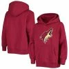 Youth Fanatics Branded Garnet Arizona Coyotes Primary Logo Pullover Hoodie