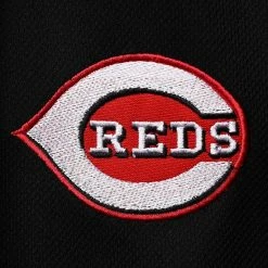 Men's Fanatics Branded Black Cincinnati Reds Big & Tall Solid Birdseye Polo 6 Men's Fanatics Branded Black Cincinnati Reds Big & Tall Solid Birdseye Polo -Metaverse shop unnamed file 21213