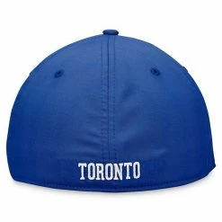Men's Fanatics Branded Royal Toronto Blue Jays Iconic Gradient Flex Hat -Metaverse shop unnamed file 26104