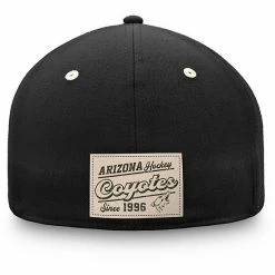 Men's Fanatics Branded Black/Natural Arizona Coyotes True Classics Structured Flex Hat -Metaverse shop unnamed file 32419