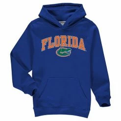 Youth Fanatics Branded Royal Florida Gators Campus Pullover Hoodie