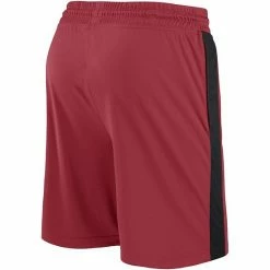 Men's Fanatics Branded Cardinal Arizona Cardinals Break It Loose Shorts -Metaverse shop unnamed file 999